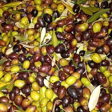 I Due Cipressi - *
